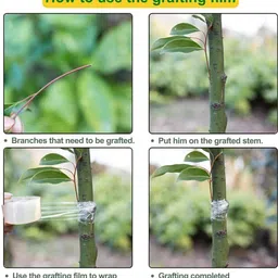 gadgetschroma 5 cm 200 ft GRAFTING ROLL image 5