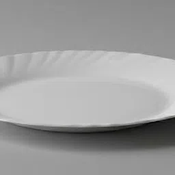 aarna Full plate (Pack of 4) Rice Plates-picture-32