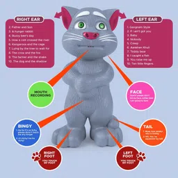 nbr enterprises Electronic Talking Tom for Kids , Best Musical Toy With More Features (Grey) image 3