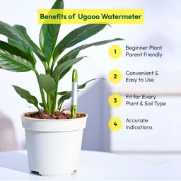 UGAOO Green & White 3 Pieces Sustee Watermeters image 4