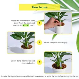 UGAOO Green & White 3 Pieces Sustee Watermeters image 3