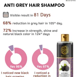 BUDDHA NATURAL Anti Grey Hair Shampoo With Blackberry Bhringraj - 200ml image 4