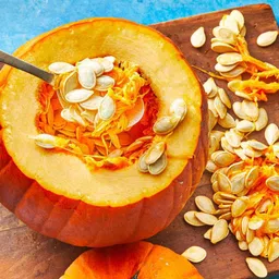 hybrid american pumpkin seeds Seed-image-1