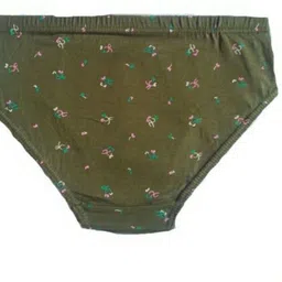 dixcy josh Pack of 4 Women Hipster Multicolor Panty image 3