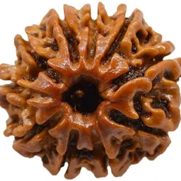 beautum Original 10 Mukhi Rudraksha Ten Face Rudraksha With Metal Capping Wood Pendant-picture-24