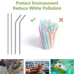 snowshell Straight Drinking Straw image 3