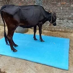 ursus Cowmat Waterproof,feeding, Mat for Animal Buffalo,( Blue) Cow, Dog, Guinea Pig, Hamster, Miniature Pig Pet Mat-picture-17
