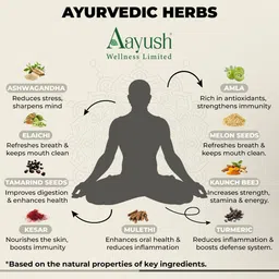 aayush wellness limited Aayush herbal Masala Royal Tobacco Flavor Smoking Cessations image 4