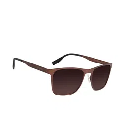 Chilli Beans Men Rectangle Sunglasses with UV Protected Lens-image-40