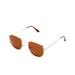 Roadies Unisex Brown Lens & Gold-Toned Oval Sunglasses with UV Protected Lens-picture-11