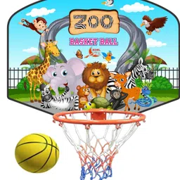 koel Basketball Ring-picture-12