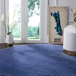 Shopgallery Blue Anti Skid Shaggy Carpet-image-57