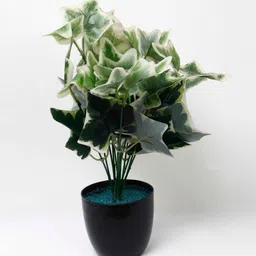 foliyaj Ivy Green Plastic Artificial Plant image 4