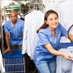 aipress by atote trading SILVER STAR STEAM IRON ES300L1800WATT 220 W Steam Iron image 3