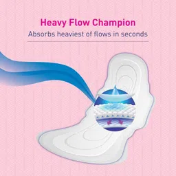 paree Soft & Rash Free XL With 3 Seconds Absorption for Heavy Flow Sanitary Pad Sanitary Pad image 4