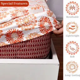 divine casa Cotton King Fitted (Elastic) 144 TC Floral Bedsheet image 2