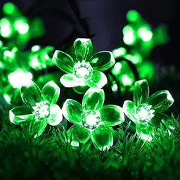 rsp quality bit 20 LEDs 3 m Green, White Steady Flower Rice Lights-picture-20