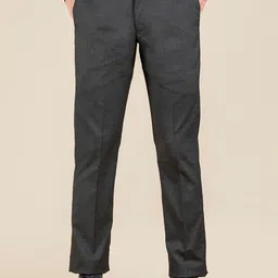 Dennis Lingo Men Checked Classic Slim Fit Wrinkle Free Formal Trousers image 1