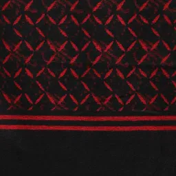 Alvaro Castagnino Men Black & Red Printed Mufflers image 3