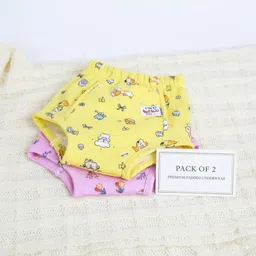 Padded Underwear Pack of-2 Potty Training Pants for Babys 6-9 Months-image-2