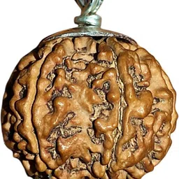 shukan indian bead Mother of Pearl-picture-11