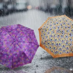 unicornstore Stylish Printed Umbrella for Men & Women | Windproof & Durable Design Umbrella image 2