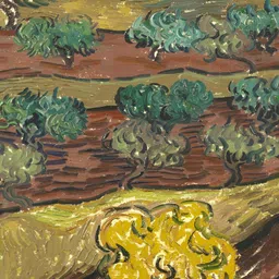 Adventures India Brown & Yellow Canvas Wall Painitng-picture-36