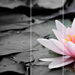 Inephos Green And Pink Floral and Botanical 4 Piece Printed Canvas Wall Art-image-43