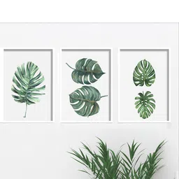 SAF White & Green 3 Pieces Tropical Leaves  Crisp UV Coating Wall Art-picture-14