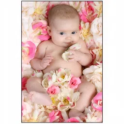 PnF Beige & Pink Paper Wall Photographs-picture-18
