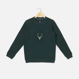 Allen Solly Junior Boys Sweatshirt-picture-25