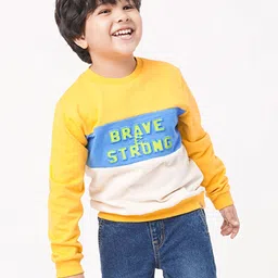 Ed-a-Mamma Boys Yellow Printed Sweatshirt-picture-12