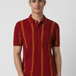 Peter England Casuals Striped Polo Collar Short Sleeves T-shirt image 1