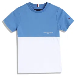 Tommy Hilfiger Boys Colourblocked Round Neck Cotton T-shirt-picture-44
