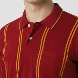 Peter England Casuals Striped Polo Collar Short Sleeves T-shirt image 2