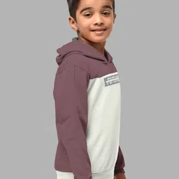 HELLCAT Boys Set Of 2 Taupe & Green Printed Hooded Sweatshirt image 4