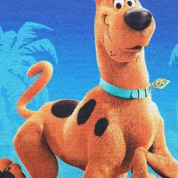 Scooby Doo by Wear Your Mind Boys Blue Printed T-shirt image 3