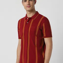 Peter England Casuals Striped Polo Collar Short Sleeves T-shirt image 3