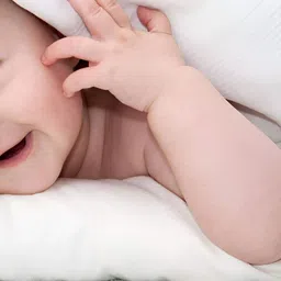 PnF White & Brown Paper Wall Sticker image 3