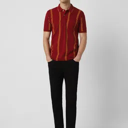 Peter England Casuals Striped Polo Collar Short Sleeves T-shirt image 5