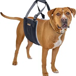lifestyle helpmate Lifestyle Dog Hip Support Harness to Help Lift Rear for Canine Aid Old K9 C Safety Harness image 3
