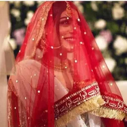 sky cloud Net Embroidered Red Women Dupatta image 2