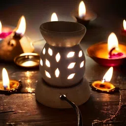 oberlo rose,leomgrass Diffuser Set-picture-13