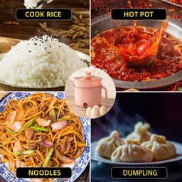 estervig Multipurpose Electric Cooking Pot with Steamer Non-Stick Inner Steel Rice Cooker Rice Cooker, Deep Fryer, Egg Boiler, Food Steamer, Slow Cooker, Travel Cooker image 5