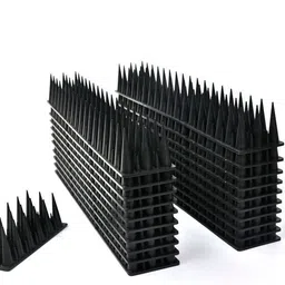 spikestore Bird Spike-picture-10