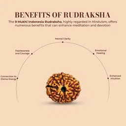 bondwal trendz Unique & Effective nine Mukhi Rudraksha 9 Faced Rudraksha For Men & Women Beads Wood Pendant image 3