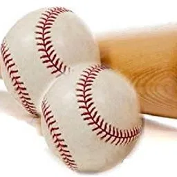 forgesy 1 Willow Baseball Bat For 15+ Yrs image 3