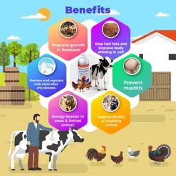 aurous Bada Heifer Liquid 500ml & VYYTUM-H 1L Combo For Cow, Buffalo & Farm Animal Pet Health Supplements image 4