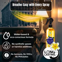 k'triq Nag Champa Spray image 3