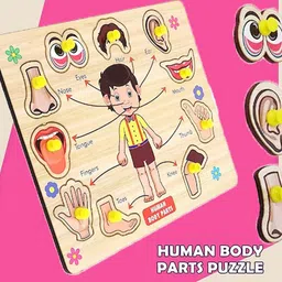 Montessori Learning Toys Human Body Parts Name Chart Puzzle Board With Picture-image-30